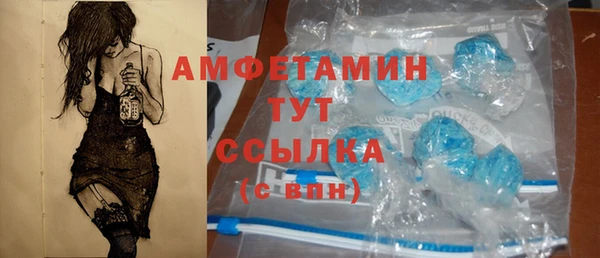 СК Алексин