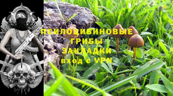 ALPHA PVP Алзамай