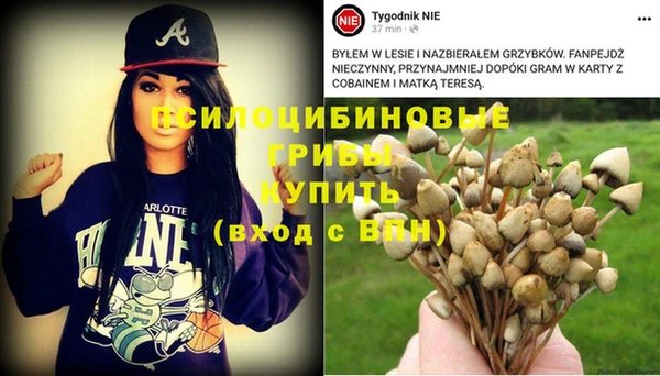 ALPHA PVP Алзамай