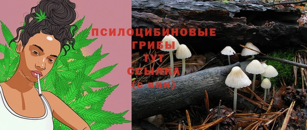 СК Алексин