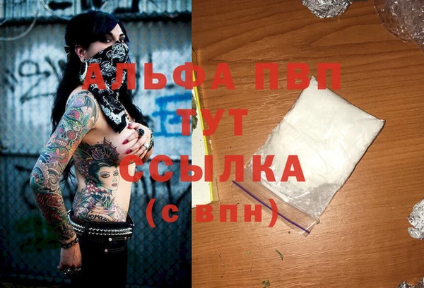 СК Алексин