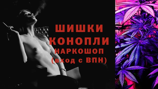 СК Алексин