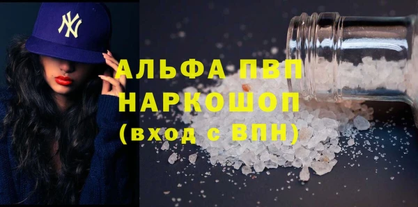 СК Алексин