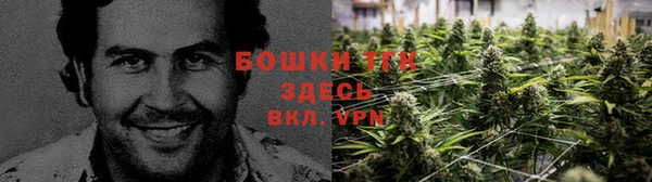 ALPHA PVP Алзамай